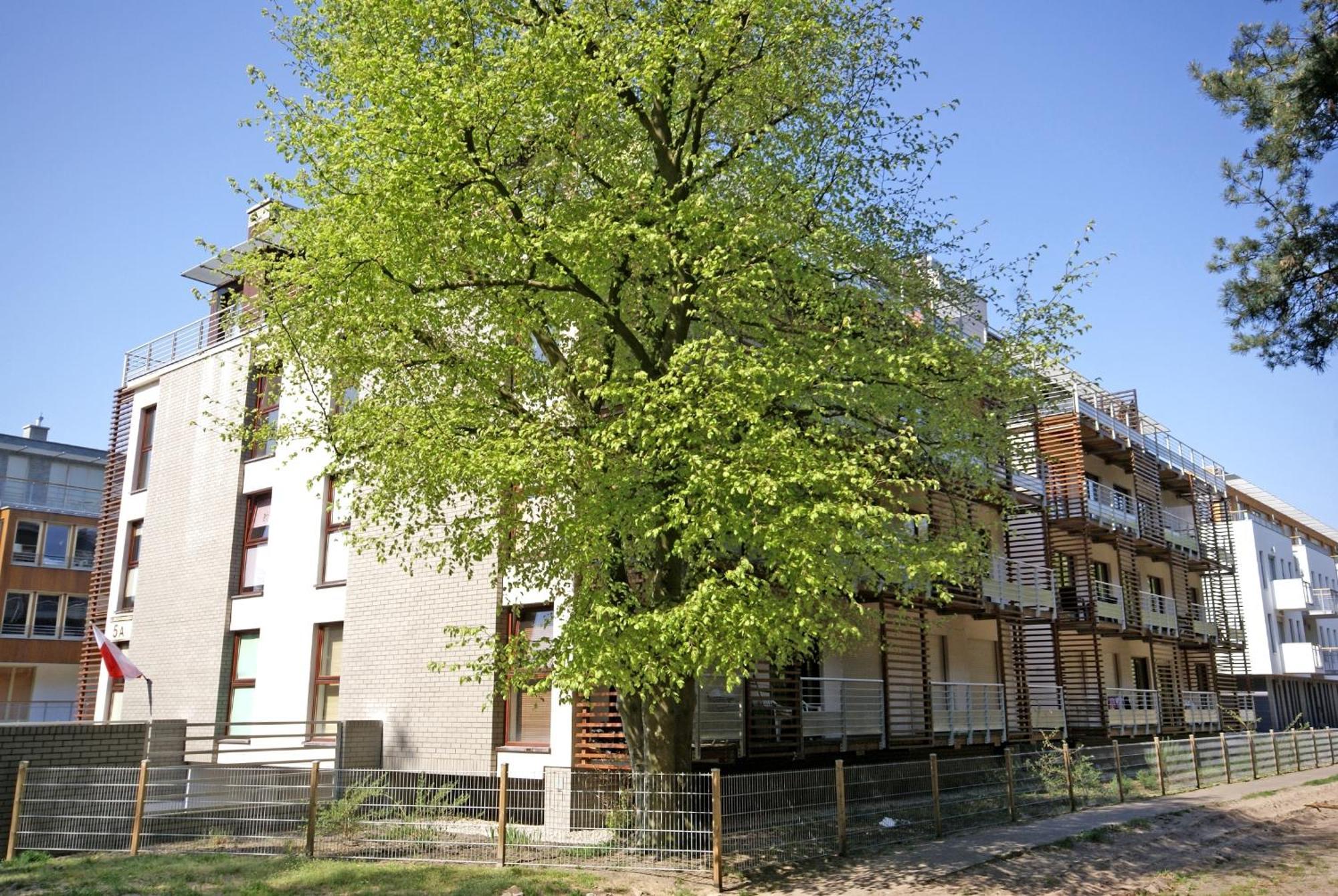 Apartamenty Swinoujscie - Zacisze Lesne Buitenkant foto